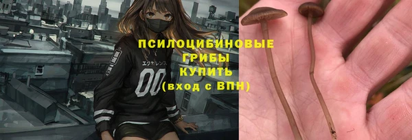 ПСИЛОЦИБИНОВЫЕ ГРИБЫ Вязники